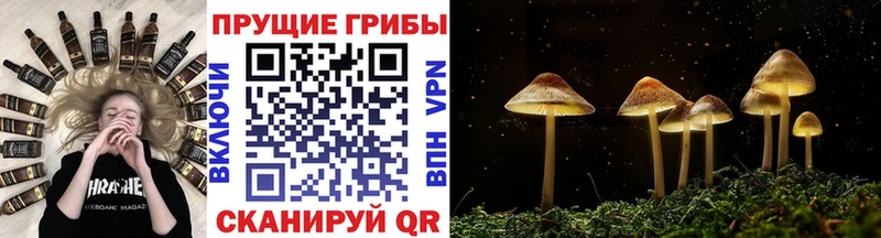 Псилоцибиновые грибы мухоморы  Купить  Петровск-Забайкальский 